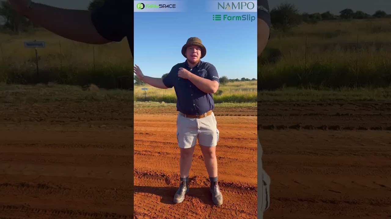 Kom beleef die vreugde van klein dingetjies by die Nampo Vrouetent!