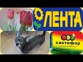 🚦СВЕТОФОР. 🍅 ЛЕНТА. 🌹ПЕЛИКАН.  🤓 ОБЗОР  ПОКУПОК. 🐕 ЗОЛЬФ.