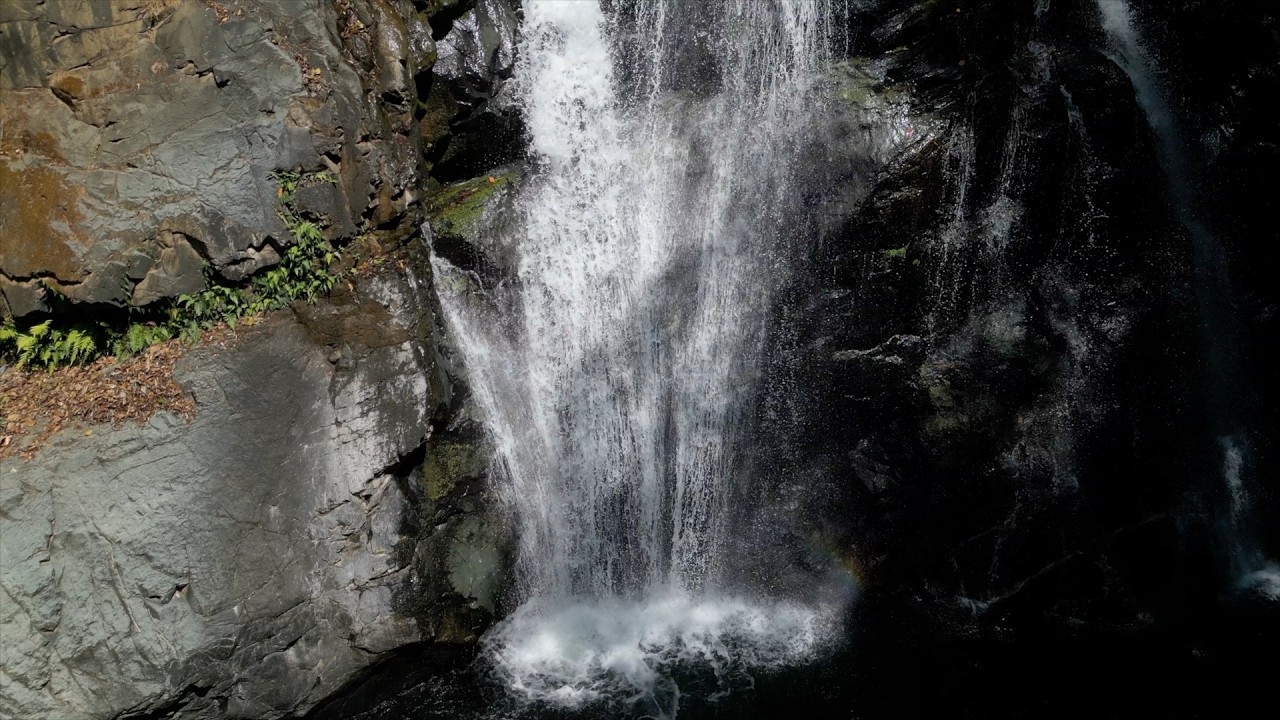 Hike Finca S Gerardo S Ramòn de Alajuela Costa Rica Recorrido completo