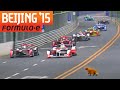 Cat on the track during formula e race in beijing