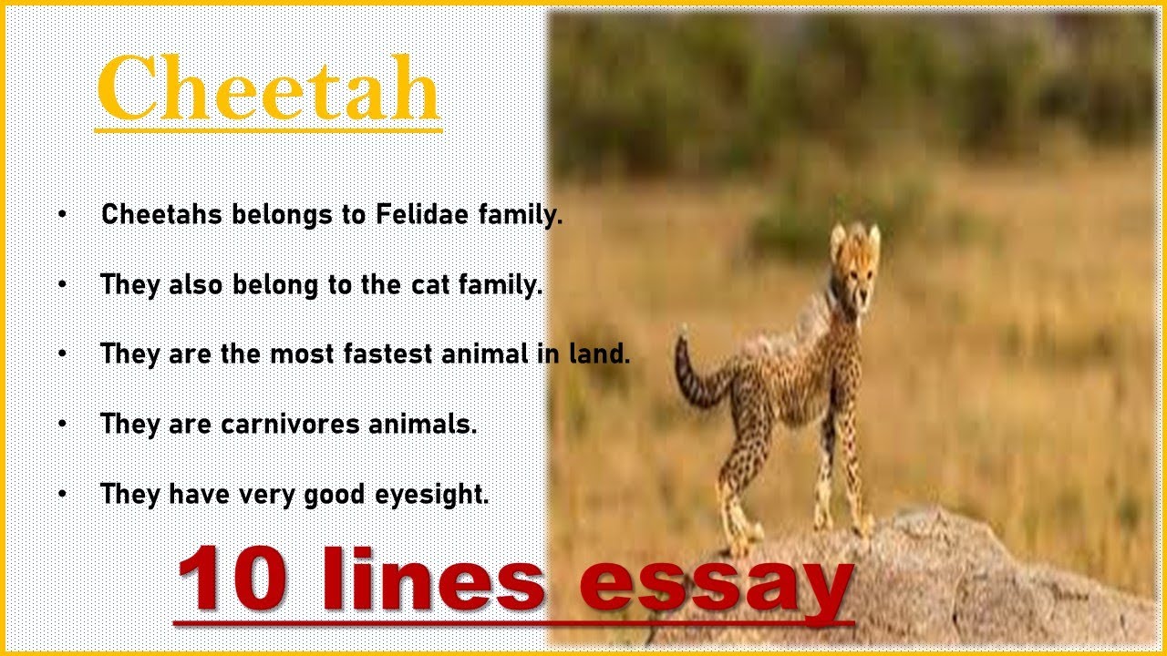 essay on project cheetah in english