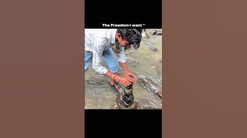 Thumbnail of The Freedom I Want | life is  a journey enjoy it | travel nature explore