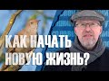 Утренний Соловей #37