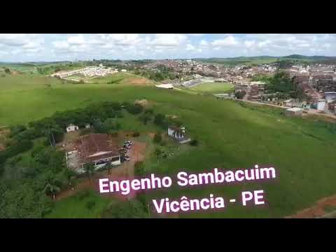 um dos engenhos de vicencia Pernambuco orgulho da minha cidade