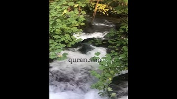 (إِنَّ اللَّهَ وَمَلَائِكَتَهُ يُصَلُّونَ عَلَى النَّبِيِّ ۚ..) القارئ مشاري العفاسي