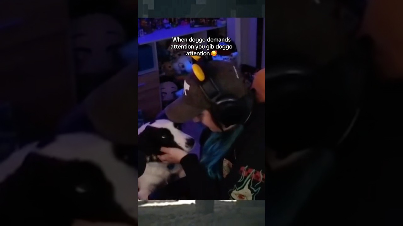 Mid-game Doggo Love 🥰🐾 #twitch #gamergirl #dog #cute #streamer