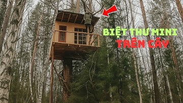 Xây Nhà Trên Cây Đẹp Như Mơ Giữa Rừng 🌲🛠️ Tự Tay Làm Mọi Thứ Từ Gỗ Thô