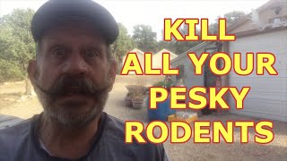 SIMPLE & EASYKill All Your Pesky Rodents without poison or snap traps: As easy as making a PB&J