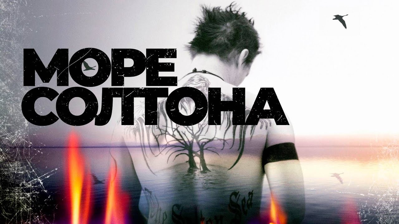 Кадр из трейлера «Море Солтона»