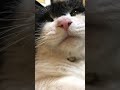 鼻デカ
