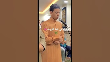 القارئ: انس حسن البرقي