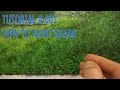 #5 How To Paint Grass | Oil Painting Tutorial