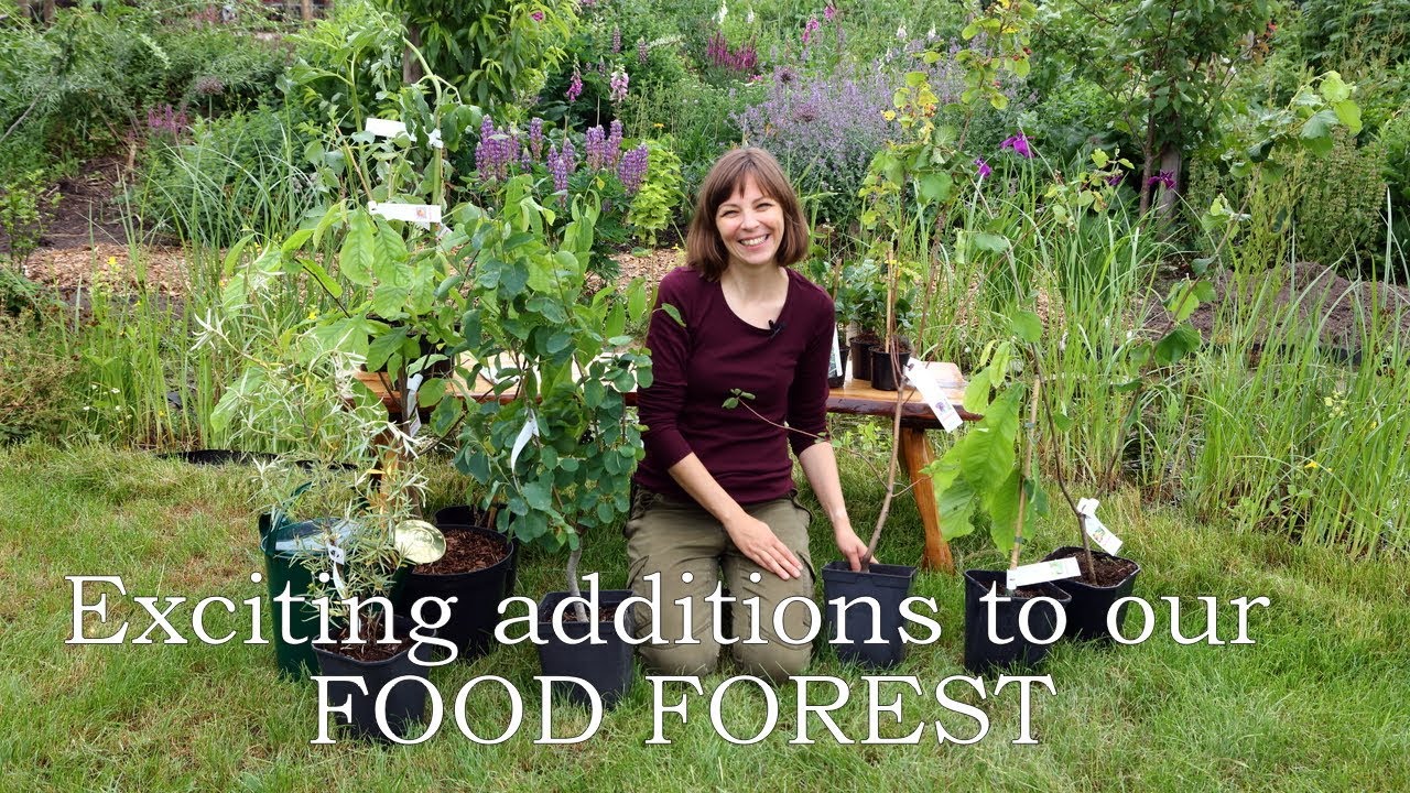 Exciting additions to our food forest