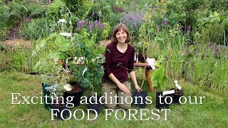 Exciting additions to our food forest