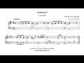 Miniature de la vidéo de la chanson Andantino In E-Flat Major, Kv 236