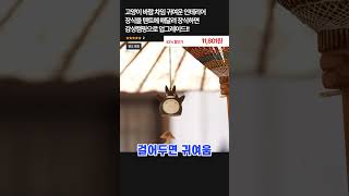 고양이 바람 차임 귀여운 인테리어 장식을 텐트에 매달려 장식하면 감성캠핑으로 업그레이드!! #캠핑 #캠핑필수템 #웃긴짤