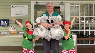 Santa's Elves visit Currumbin Wildlife Hospital on a Special Mission by Currumbin Wildlife Hospital 227 views 2 years ago 2 minutes, 16 seconds