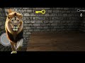 lion playing a game