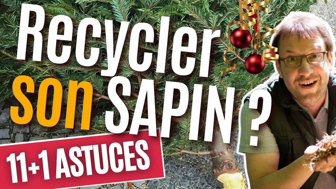 Où jeter son sapin après Noël ?