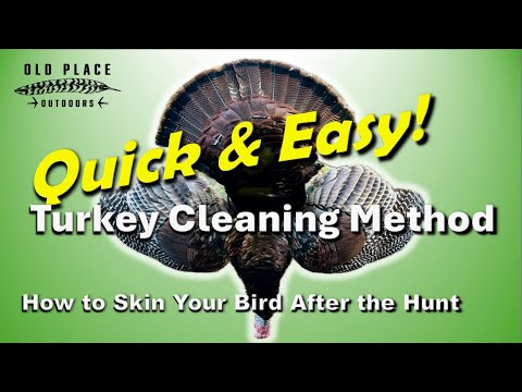 Cleaning Hacks: How To Properly Clean And Maintain Your Turkey Baster -  KitchenDance