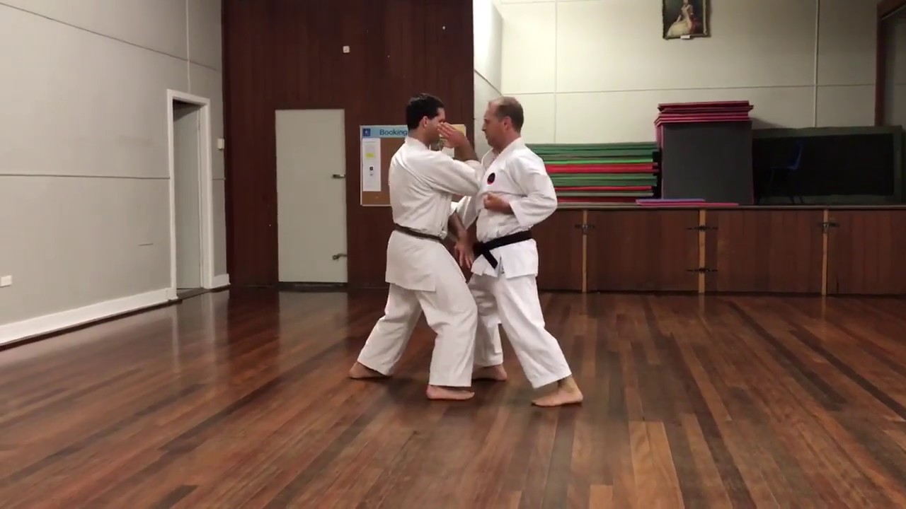 Shisochin - bunkai