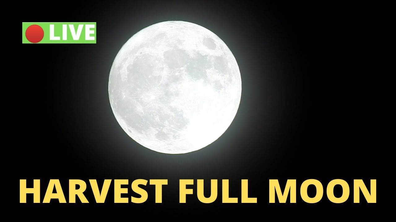 🔴 Live Harvest Full Moon Full Moon In September 2022