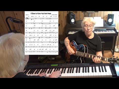 A Dream Is A Wish Your Heart Makes ( TvdH ) - Jazz guitar & piano cover