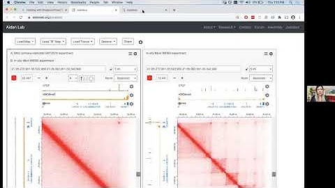 Juicebox on the Web Tutorial Part 5: Hosting on Dropbox/Drive/Geo