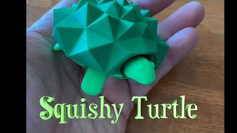 Squishy Turtle