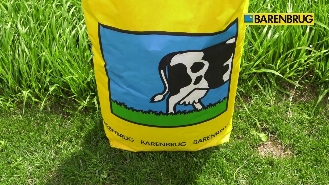 Barenbrug B&G-7 Milkway Water NutriFibre- mieszanka traw na łąki przesychające i zalewowe