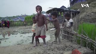 Rohinja Musulmonlarining Bugungi Ahvoli Qanday? Rohinja Musulmonlarining Bugungi Ahvoli Qanday?