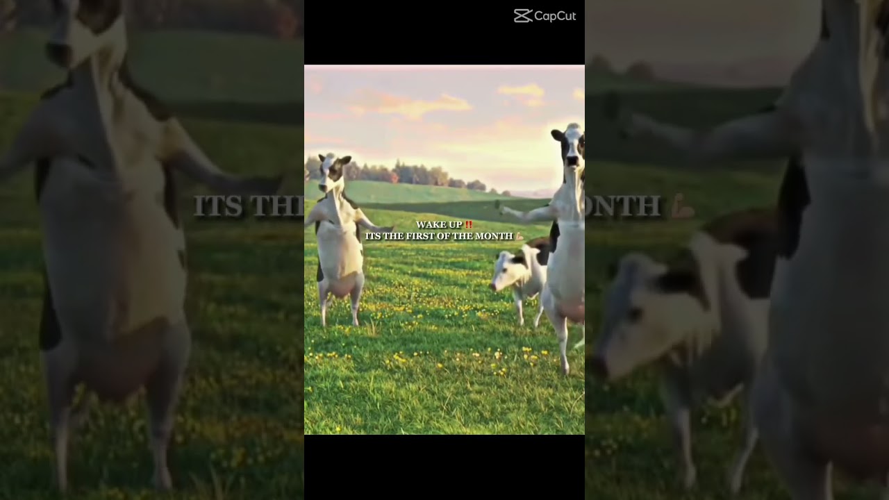 Wake up it the first of the month 