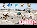 animal flip acting emoji