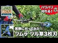実際に刈ってみた！バリバリ刈れる！ツムラ ツル草３枚刃