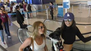 Nina Dobrev talks about her love for Rebok while departing at LAX Airport in Los Angeles