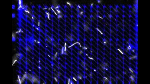 Parallel computation with molecular-motor-propelled agents in nanofabricated networks