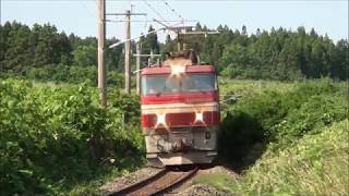 2019年7月3日(水)今日の「貨物列車」3084レ EH800-16+コキ20B 名古屋貨物ターミナル行
