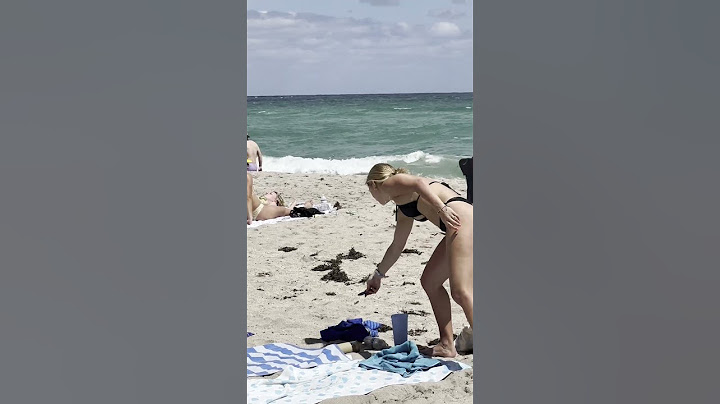 🇺🇸 Chilling at Miami beach