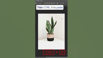 How to Select an Object in Photoshop! Quick & Easy Guide!