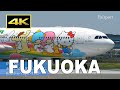 [4K] Plane Spotting June 2020 at Fukuoka Airport in Japan / 福岡空港 JAL ANA / Fairport