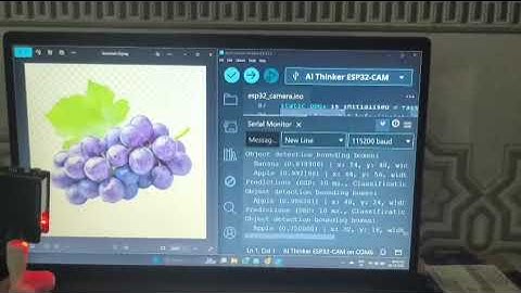 Real-Time Fruit Detection with ESP32-CAM & Edge Impulse (FOMO Tutorial)