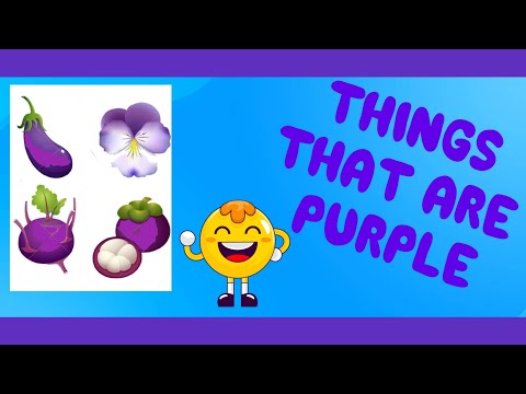 THINGS THAT ARE PURPLE (Learn Purple Objects) Colour Purple and Objects | Click and Learn