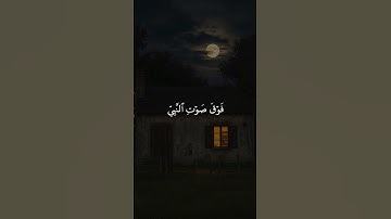 #قران_كريم #قرآن #تلاوة_خاشعة #تلاوة #تلاوات #سورة #المنشاوي