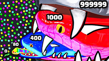 Growing a MAX LEVEL SNAKE