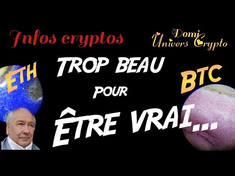 #bitcoin  #cryptomonnaies : Trop beau pour être vrai...