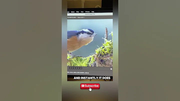 How To Fix Noisy Photos in 10 Seconds With AI in Photoshop?