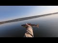 Ангара. Хариус нахлыстом в октябре 2019 /Angara Grayling fly fishing in October 2019