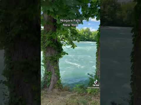 Niagara Falls NY