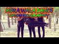 Simba mera wala dance  n3n chreographer   bollywood style