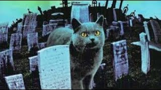 Pat Benatar vs. Ramones - We Belong In A Pet Sematary (YITT mashup)